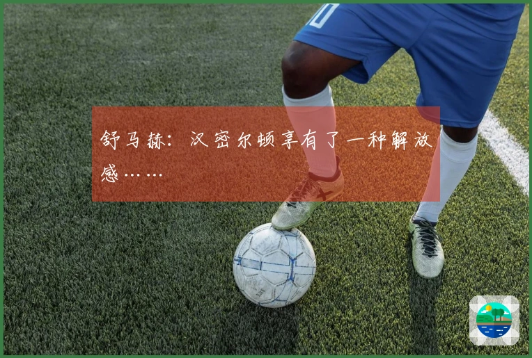 舒马赫：汉密尔顿享有了一种解放感……
