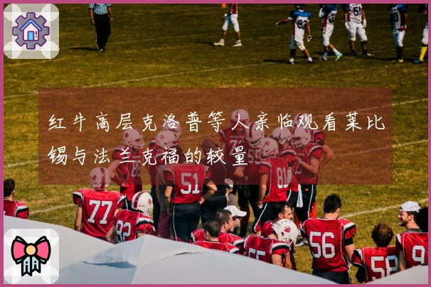 红牛高层克洛普等人亲临观看莱比锡与法兰克福的较量